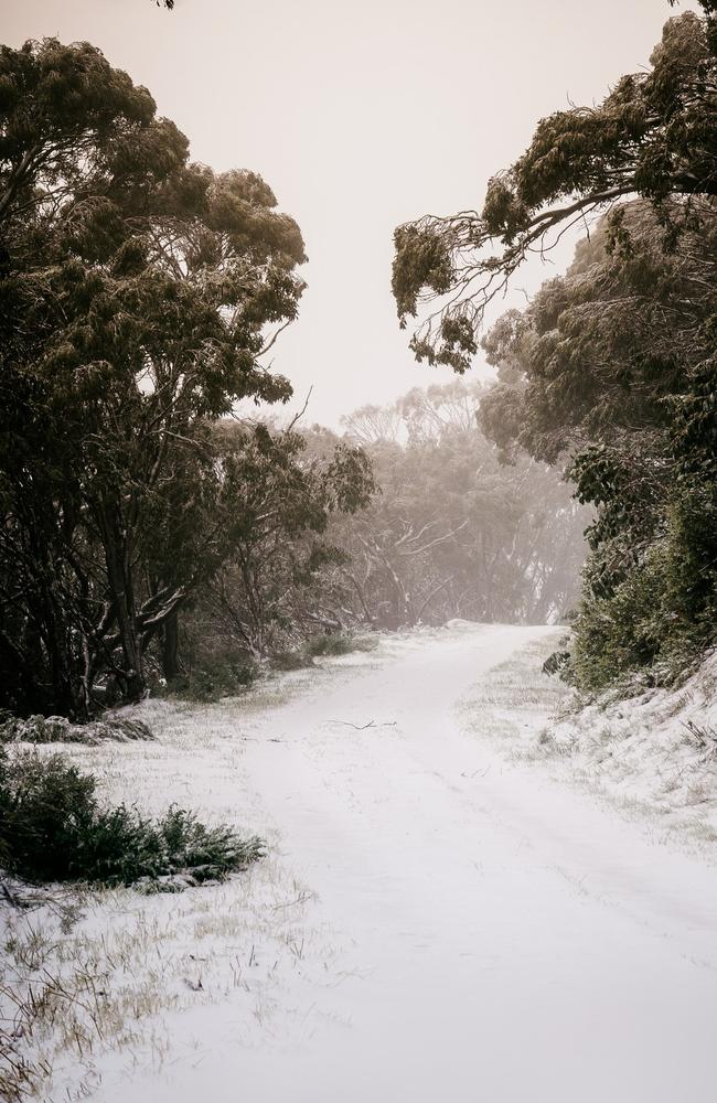 Falls Creek Resort announced it would open after a “generous” dusting of snow. Picture: Falls Creek Resort