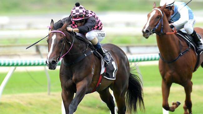 Rothfire is unbeaten in four career starts. Picture: AAP
