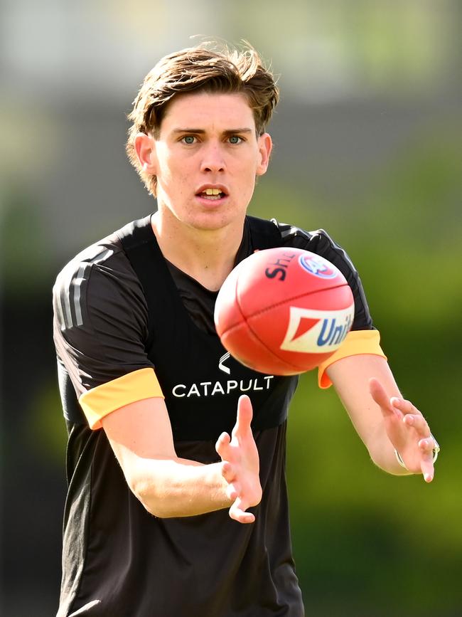 Will Day was a bright spot for Hawthorn fans in 2020.