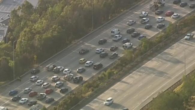 The gridlock on the M1 after a fatal accident. Photo: 9 News