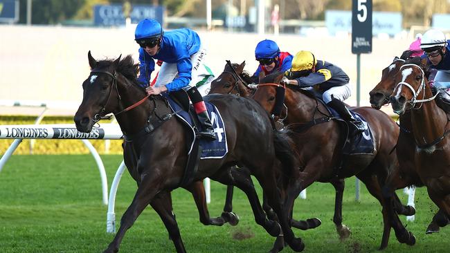 Pericles is favourite to win the So You Think Stakes at The Valley on Saturday. Picture: Jeremy Ng/Getty Images