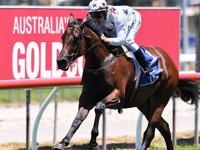 Sunlight has shortened into equal $4.50 second favourite for the Magic Millions Classic. Picture: AAP