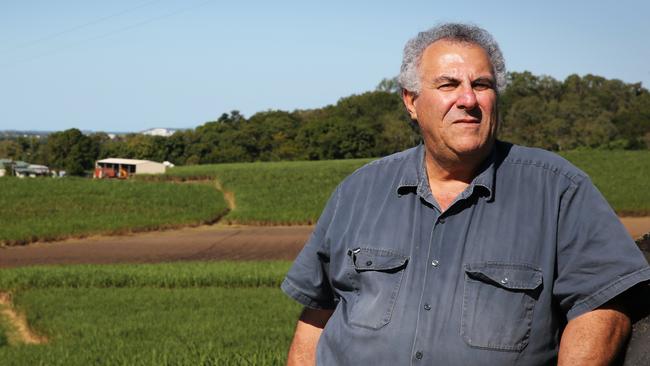 Canegrowers Queensland chairman Paul Schembri. Picture: Contributed