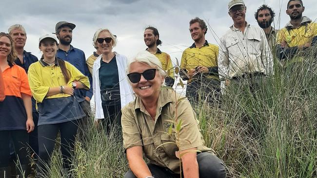 Bangalow Koalas Inc plants their 100,000th tree .