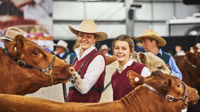 The 2019 Royal Melbourne Show is expected to draw crowds in excess of half a million.