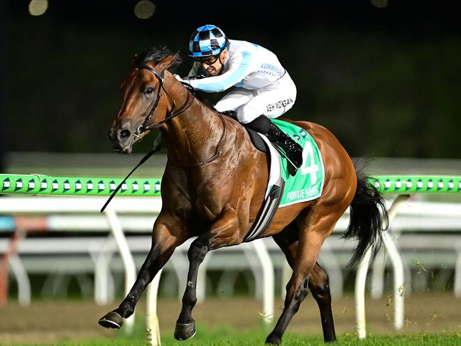 Private Harry winning The Sunlight on the Sunshine Coast on Saturday night Picture: Grant Peters