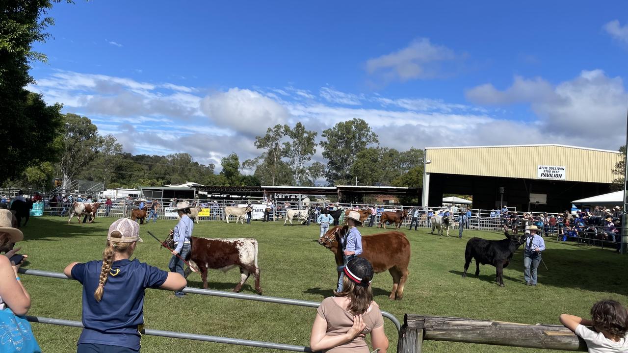 Onlookers at the Gympie Show 2025.