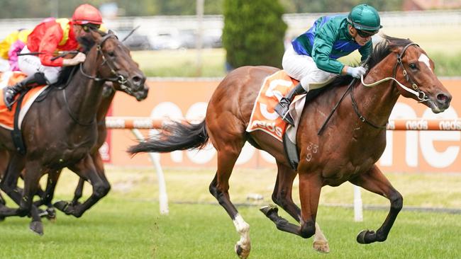 Jacquinot is coming off an unlucky run in the Group 1 Blue Diamond. Picture: Getty Images