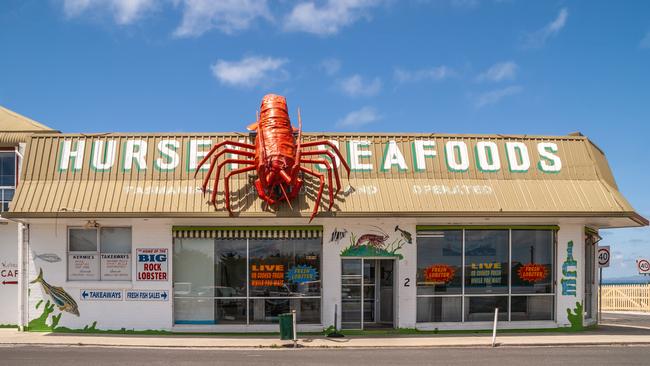 The seaside village of Stanley, Tasmania. Image via iStock