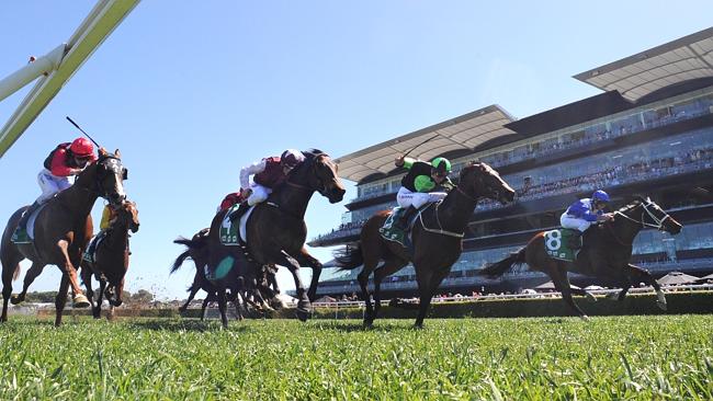 Chateau Lafaite (right) is a last-start winner and is a short-price favourite at Rosehill Gardens today.