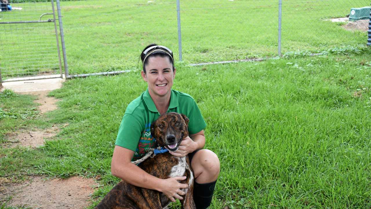 How to become a RSPCA volunteer | The Courier Mail