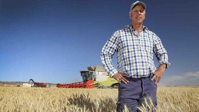 Grain Producers SA chairman Adrian McCabe expects the industry to boom off the back of the plant-protein industry announcement. Picture: AAP/Dean Martin