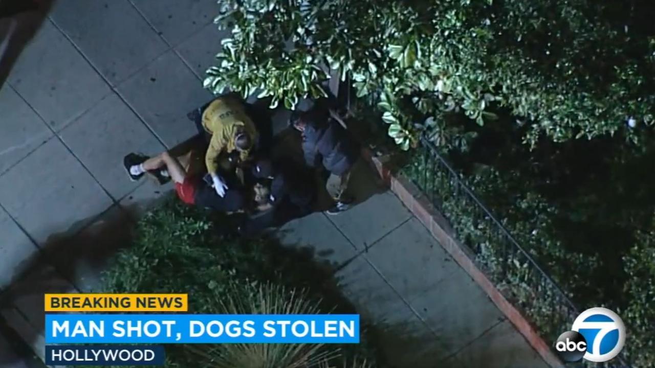 Lady Gaga's dog walker Ryan Fischer lays on the ground after being shot by a gunman. Picture: ABC7