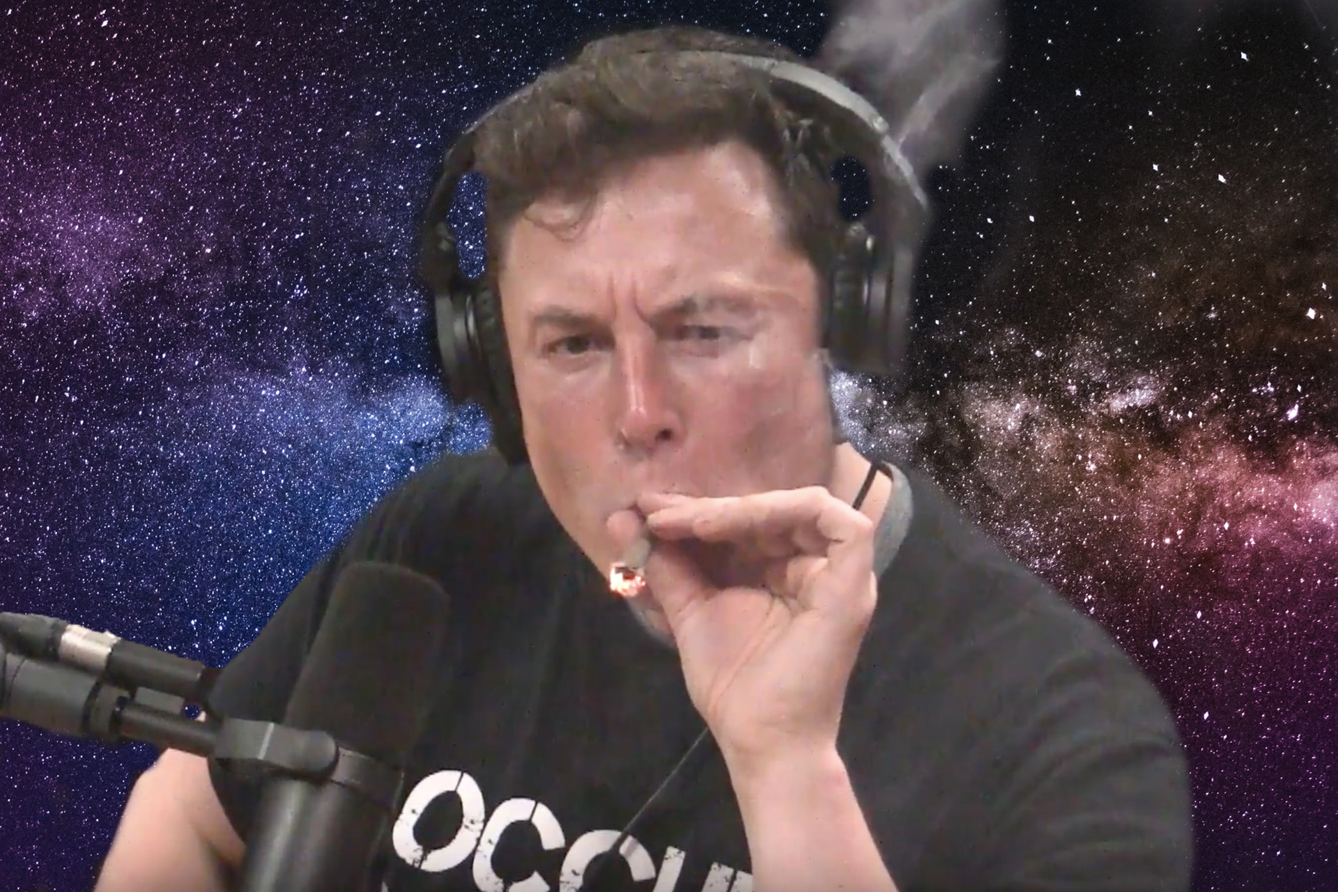 Elon Musk Asked Twitter For Their Dankest Memes, And Promptly Copped A Roas...