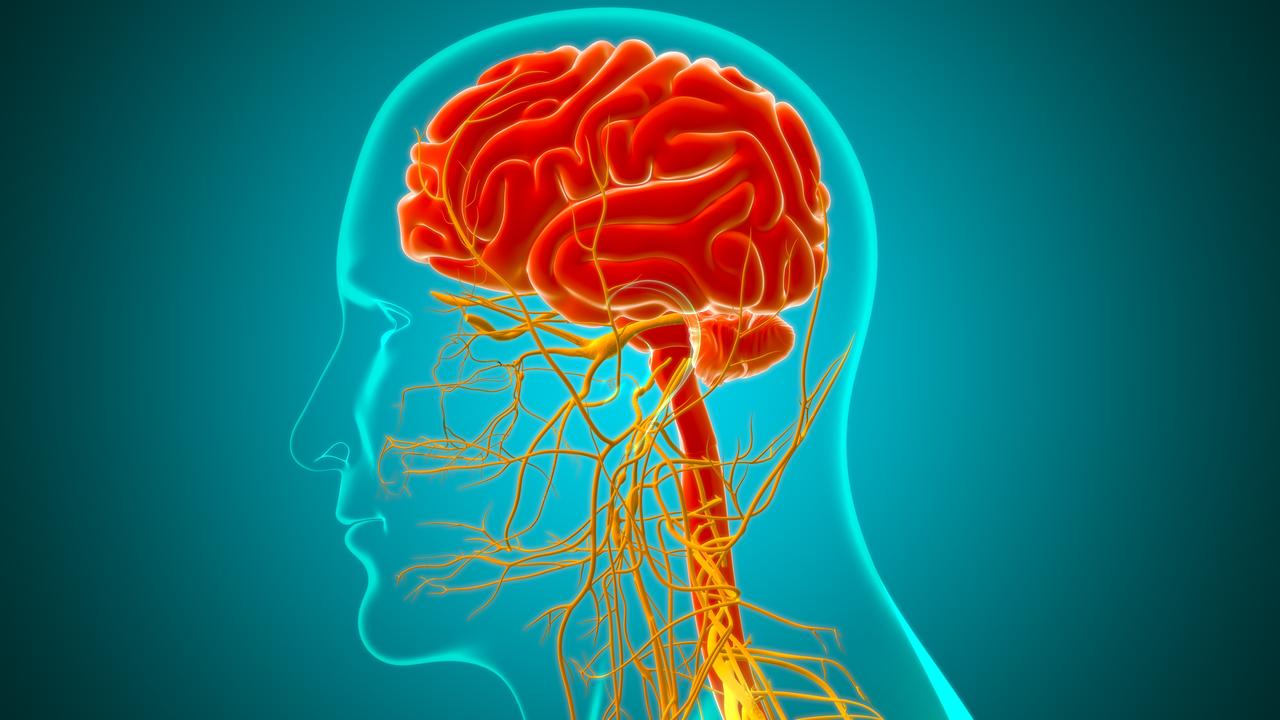 The gut and the brain and connected. Picture: iStock