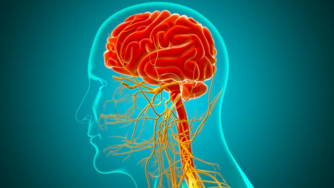 The gut and the brain and connected. Picture: iStock