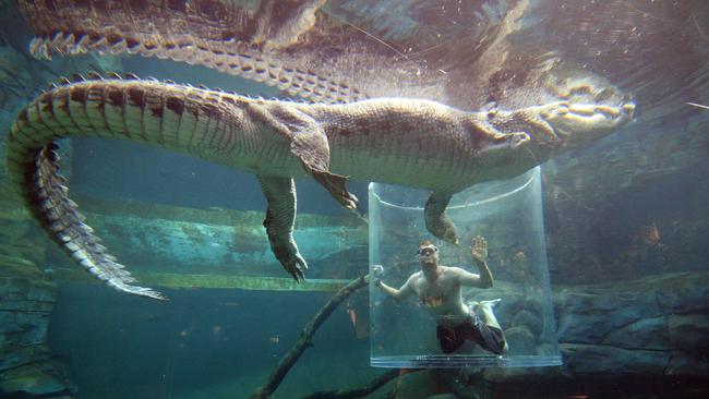 You could go swimming with crocs at Crocosaurus Cove, NT with a Territory tourism voucher. Picture: Shaana McNaught / Tourism NT