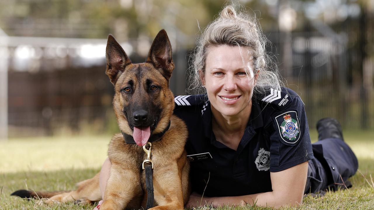 Queensland Police Service adds tech detection dog Etta to its ranks ...