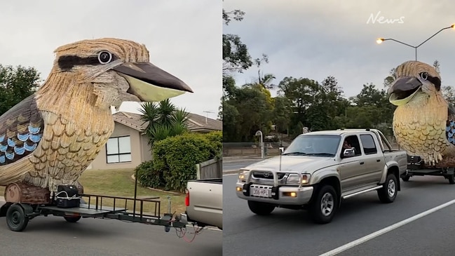 Giant kookaburra hits the streets in Brisbane