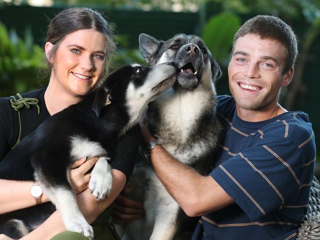 Kelsey Sheekey and Ross Thompson with Chance and Lola. Picture: Annette Dew