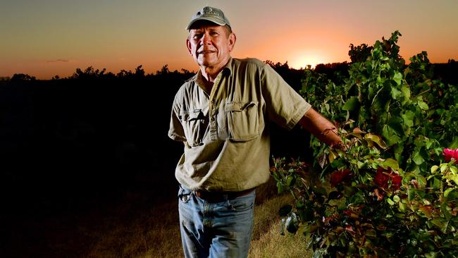 Riverland Wine executive officer Chris Byrne warns the sky-rocketing cost of power could cripple the industry.