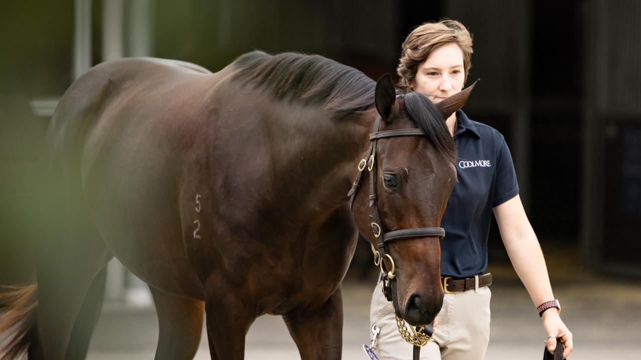 Inglis 2024 Easter Yearling Sale Cody Eleanora