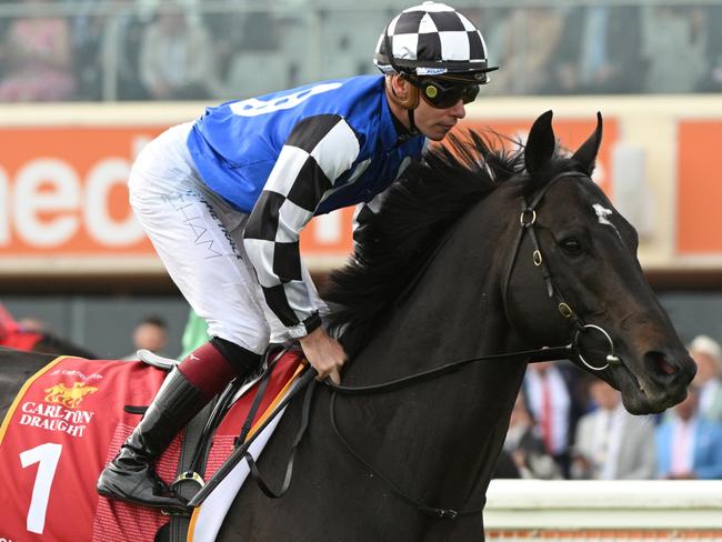 MELBOURNE, AUSTRALIA - OCTOBER 21: Ben Melham riding Gold Trip heads to the start of Race 9, the Carlton Draught Caulfield Cup,during Melbourne Racing at Caulfield Racecourse on October 21, 2023 in Melbourne, Australia. (Photo by Vince Caligiuri/Getty Images)