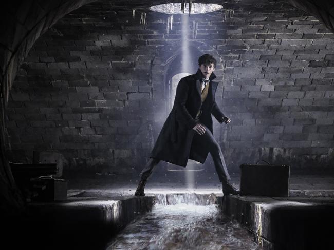 Eddie Redmayne in a scene from Fantastic Beasts: The Crimes of Grindelwald. Picture: Jaap Buitendijk