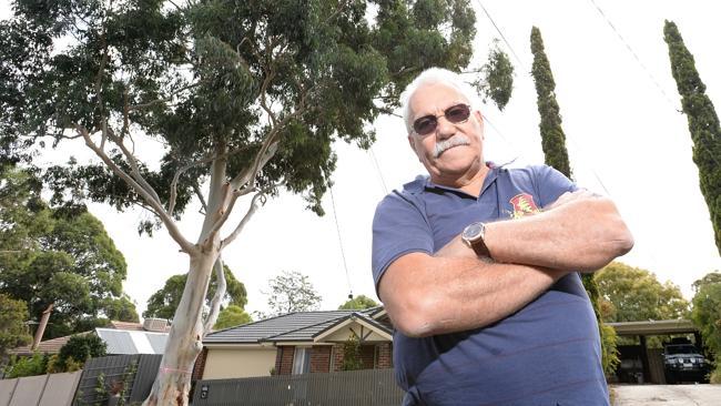 Mooroolbark man worried about trees