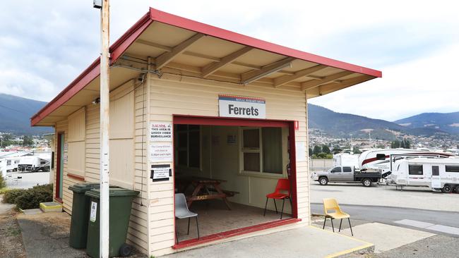 The camp kitchen doubles as the ferret pavilion during the Hobart Show. Picture: NIKKI DAVIS-JONES