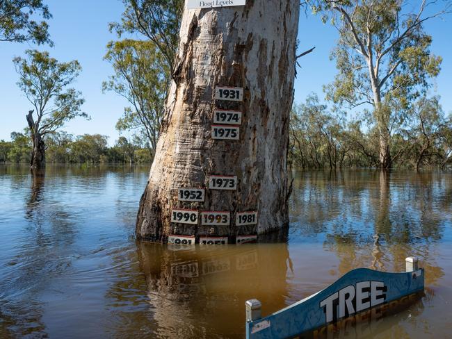 Photos of floodwaters in Loxton - Photos by Murray River Pix (MUST CREDIT)