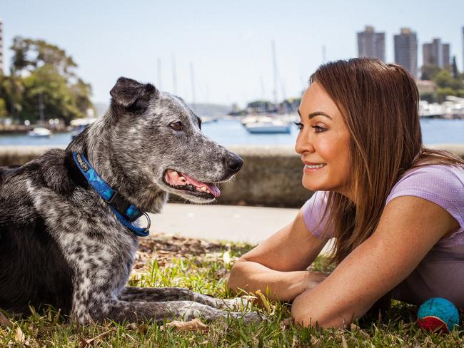 Michelle Bridges has come on board as ambassador for Medibank's #LoveMyRescue to encourage potential pet owners to consider a rescue cat or dog.