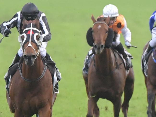 Jungle Edge (left) takes out the June Stake at Royal Randwick.