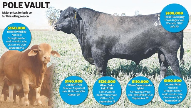 Multiple bulls sold for more than $100,000 this selling season.