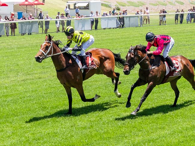 Dobbinair showed an electric turn of foot in the second at Murray Bridge. Picture: Makoto Kaneko