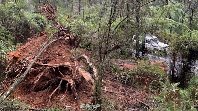 Victoria was battered with wild weather over the weekend. Picture: Josh Fagan.