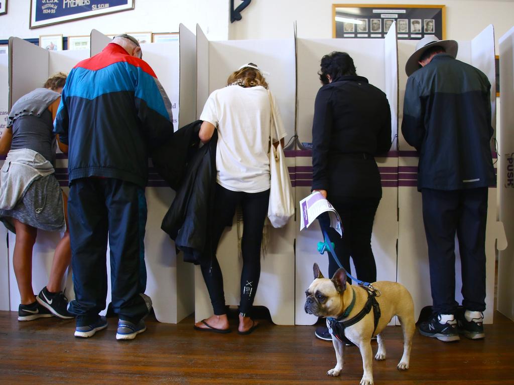 A dog stands as voters cast their ballots at a polling station during a federal election in Sydney, Australia, on Saturday, May 18, 2019. Prime MinisterÃÂ Scott MorrisonÃÂ is fighting to save his conservative government in Australia's election on Saturday, with polls showing the left-leaning Labor party poised to win office. Photographer: David Gray/Bloomberg via Getty Images
