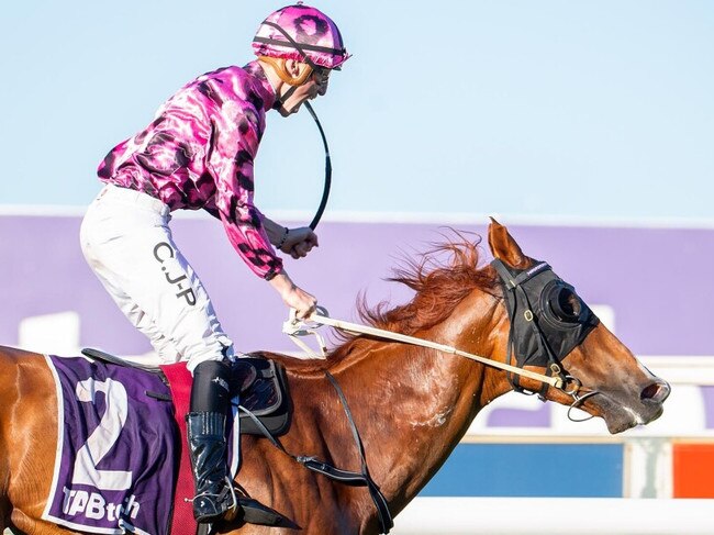 Ripcord launches to win the Placid Ark Stakes for trainer Luke Fernie and jockey Clint Johnston-Porter. Picture:  Western Racepix.