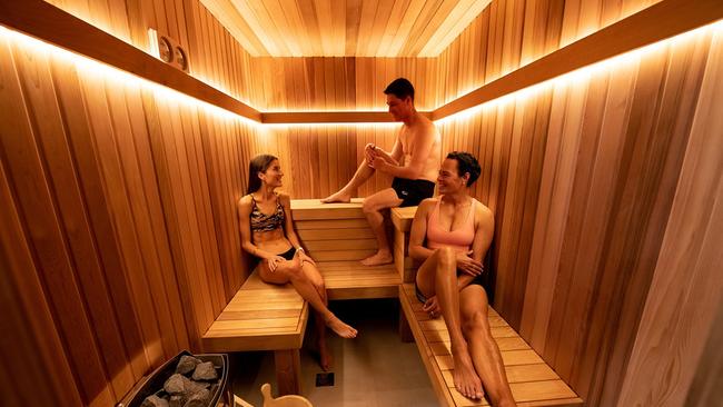 Dry heat saunas boost health and support a healthy immune system.