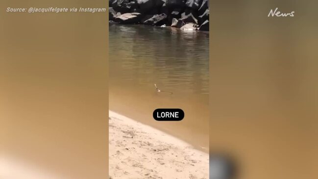 Lorne's snake surprise