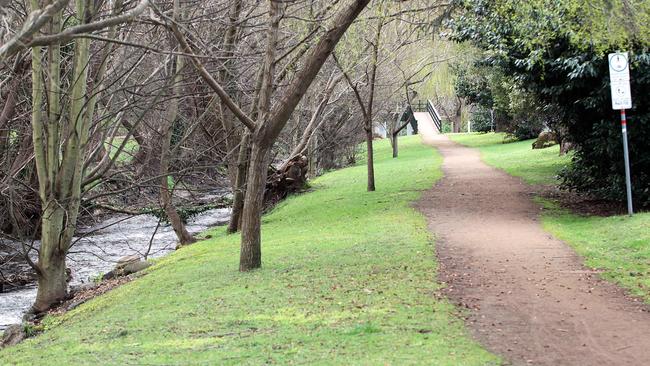South Hobart’s rivulet track. Photo: FILE