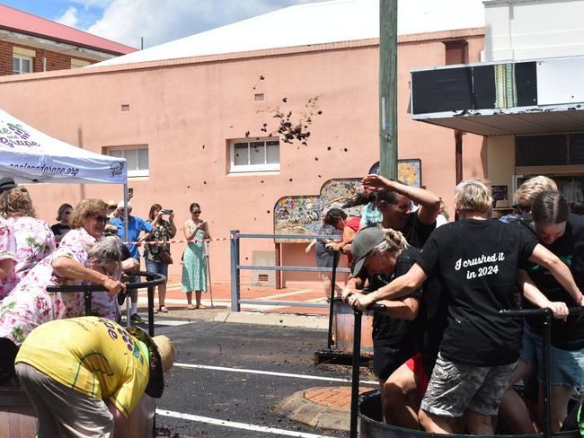 Volunteers try to avoid flying grapes at the Apple and Grape Festival grape crush, 1 March, 2024