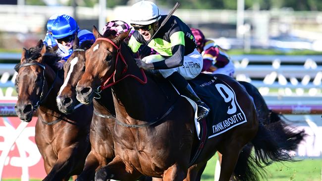 Think About It will get a half-kilo advantage on I Wish I Win in the Stradbroke next month. Picture: Grant Peters — Trackside Photography.
