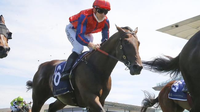 Talented three-year-old Battleton resumes as a gelding and looks hard to beat in the final event at Gosford. Picture: Getty Images