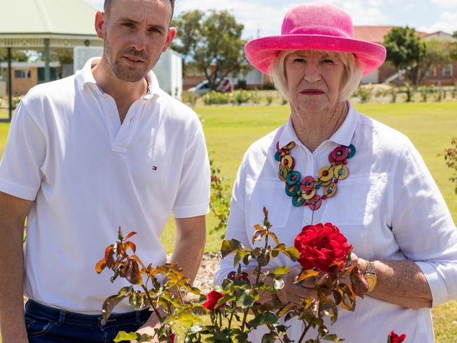 Thieves strike at night, ‘rip’ away 100 blooming roses