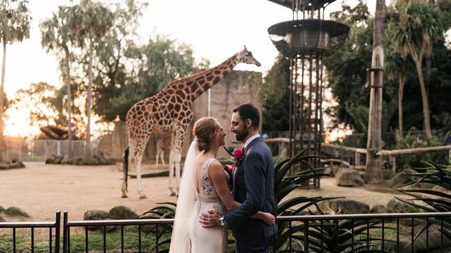 A happy couple at Melbourne Zoo.