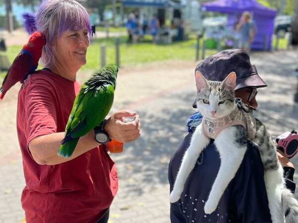 Bowen Community Markets held in Hansen Park each Sunday.