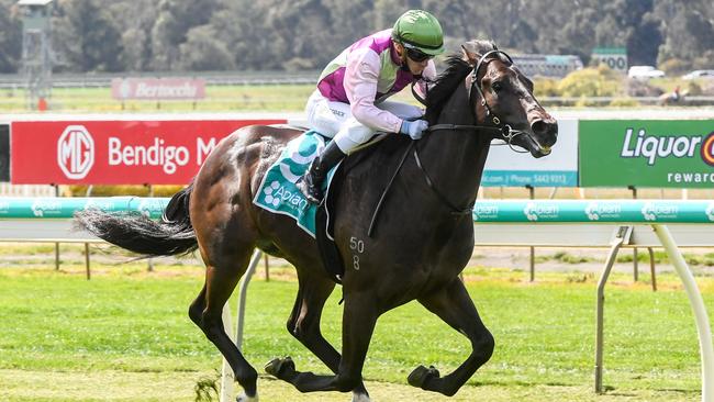 Mornington Glory wins easily in Bendigo.