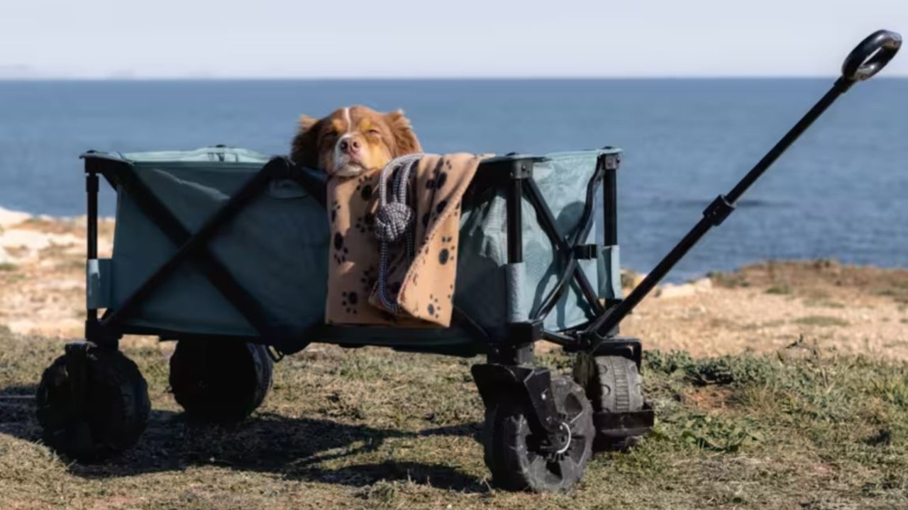 Quechua All Terrain Transport Cart. Picture: Decathlon.