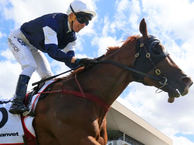 The United States ridden by Kerrin McEvoy , wins race 4 the Ranvet Stakes during Golden Slipper day at Rosehill Races. pic Jenny Evans